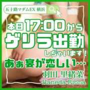 ヒメ日記 2024/03/19 09:32 投稿 羽田里緒菜 五十路マダムエクスプレス横浜店（カサブランカグループ）