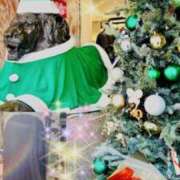 ヒメ日記 2024/12/24 06:46 投稿 坂本千佳 五十路マダムエクスプレス横浜店（カサブランカグループ）