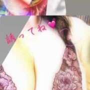 ヒメ日記 2025/04/11 06:50 投稿 坂本千佳 五十路マダムエクスプレス横浜店（カサブランカグループ）