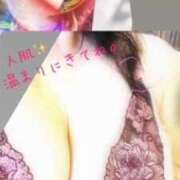 ヒメ日記 2025/04/12 10:46 投稿 坂本千佳 五十路マダムエクスプレス横浜店（カサブランカグループ）