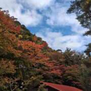 ヒメ日記 2024/11/19 23:38 投稿 大西千佳 五十路マダムエクスプレス横浜店（カサブランカグループ）