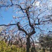 ヒメ日記 2025/03/02 22:46 投稿 大西千佳 五十路マダムエクスプレス横浜店（カサブランカグループ）