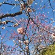 ヒメ日記 2025/03/07 23:56 投稿 大西千佳 五十路マダムエクスプレス横浜店（カサブランカグループ）