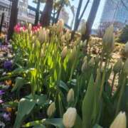 ヒメ日記 2025/03/21 22:42 投稿 大西千佳 五十路マダムエクスプレス横浜店（カサブランカグループ）