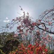 ヒメ日記 2025/03/28 22:44 投稿 大西千佳 五十路マダムエクスプレス横浜店（カサブランカグループ）