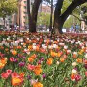 ヒメ日記 2025/04/20 22:42 投稿 大西千佳 五十路マダムエクスプレス横浜店（カサブランカグループ）