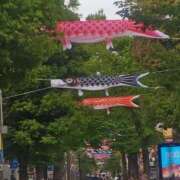 ヒメ日記 2025/05/01 23:30 投稿 大西千佳 五十路マダムエクスプレス横浜店（カサブランカグループ）