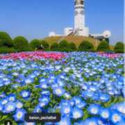 ヒメ日記 2025/05/09 22:06 投稿 大西千佳 五十路マダムエクスプレス横浜店（カサブランカグループ）