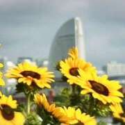 ヒメ日記 2025/07/06 22:52 投稿 大西千佳 五十路マダムエクスプレス横浜店（カサブランカグループ）