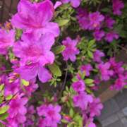 ヒメ日記 2026/04/25 15:38 投稿 宮内沙織 五十路マダムエクスプレス横浜店（カサブランカグループ）