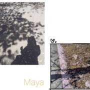 ヒメ日記 2025/04/09 12:48 投稿 真矢雨音 五十路マダムエクスプレス横浜店（カサブランカグループ）