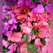 ヒメ日記 2025/07/04 12:10 投稿 真矢雨音 五十路マダムエクスプレス横浜店（カサブランカグループ）