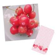 ヒメ日記 2025/07/12 11:00 投稿 真矢雨音 五十路マダムエクスプレス横浜店（カサブランカグループ）