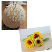 ヒメ日記 2025/08/26 12:10 投稿 真矢雨音 五十路マダムエクスプレス横浜店（カサブランカグループ）