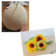 ヒメ日記 2025/08/26 12:20 投稿 真矢雨音 五十路マダムエクスプレス横浜店（カサブランカグループ）