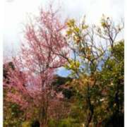 ヒメ日記 2026/02/24 17:20 投稿 真矢雨音 五十路マダムエクスプレス横浜店（カサブランカグループ）