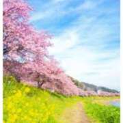 ヒメ日記 2026/02/26 17:30 投稿 真矢雨音 五十路マダムエクスプレス横浜店（カサブランカグループ）