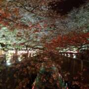 ヒメ日記 2026/04/02 18:50 投稿 真矢雨音 五十路マダムエクスプレス横浜店（カサブランカグループ）