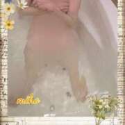 ヒメ日記 2025/03/18 18:50 投稿 田崎みほ 五十路マダムエクスプレス横浜店（カサブランカグループ）