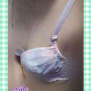 ヒメ日記 2025/04/02 15:54 投稿 田崎みほ 五十路マダムエクスプレス横浜店（カサブランカグループ）