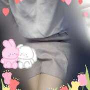 ヒメ日記 2025/04/28 06:46 投稿 田崎みほ 五十路マダムエクスプレス横浜店（カサブランカグループ）