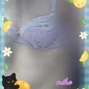 ヒメ日記 2025/04/28 18:50 投稿 田崎みほ 五十路マダムエクスプレス横浜店（カサブランカグループ）