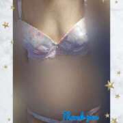 ヒメ日記 2025/06/29 10:04 投稿 田崎みほ 五十路マダムエクスプレス横浜店（カサブランカグループ）