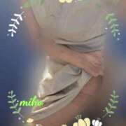 ヒメ日記 2025/07/03 18:50 投稿 田崎みほ 五十路マダムエクスプレス横浜店（カサブランカグループ）