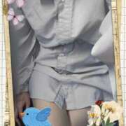 ヒメ日記 2025/11/29 06:46 投稿 田崎みほ 五十路マダムエクスプレス横浜店（カサブランカグループ）