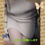 ヒメ日記 2025/12/28 08:44 投稿 田崎みほ 五十路マダムエクスプレス横浜店（カサブランカグループ）