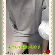 ヒメ日記 2026/02/21 08:46 投稿 田崎みほ 五十路マダムエクスプレス横浜店（カサブランカグループ）