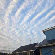 ヒメ日記 2026/04/14 06:46 投稿 田崎みほ 五十路マダムエクスプレス横浜店（カサブランカグループ）