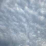 ヒメ日記 2026/04/22 06:46 投稿 田崎みほ 五十路マダムエクスプレス横浜店（カサブランカグループ）