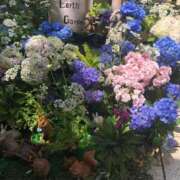 ヒメ日記 2025/06/28 19:04 投稿 墨田遥香 五十路マダムエクスプレス横浜店（カサブランカグループ）