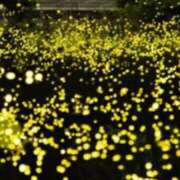 ヒメ日記 2025/06/29 21:54 投稿 墨田遥香 五十路マダムエクスプレス横浜店（カサブランカグループ）