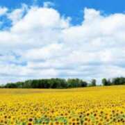 ヒメ日記 2025/08/16 21:02 投稿 墨田遥香 五十路マダムエクスプレス横浜店（カサブランカグループ）