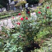 ヒメ日記 2025/10/18 17:52 投稿 墨田遥香 五十路マダムエクスプレス横浜店（カサブランカグループ）