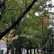 墨田遥香 出勤中です 五十路マダムエクスプレス横浜店（カサブランカグループ）