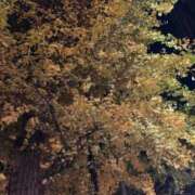 墨田遥香 こんにちは 五十路マダムエクスプレス横浜店（カサブランカグループ）