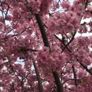 ヒメ日記 2026/02/14 10:50 投稿 墨田遥香 五十路マダムエクスプレス横浜店（カサブランカグループ）