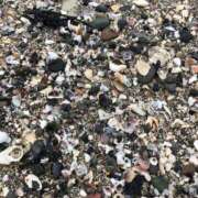 ヒメ日記 2026/02/22 15:34 投稿 墨田遥香 五十路マダムエクスプレス横浜店（カサブランカグループ）