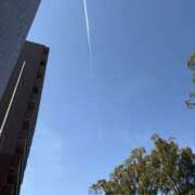 ヒメ日記 2026/03/04 09:52 投稿 墨田遥香 五十路マダムエクスプレス横浜店（カサブランカグループ）