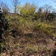 ヒメ日記 2026/03/09 10:22 投稿 墨田遥香 五十路マダムエクスプレス横浜店（カサブランカグループ）