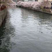 ヒメ日記 2026/04/08 08:46 投稿 墨田遥香 五十路マダムエクスプレス横浜店（カサブランカグループ）