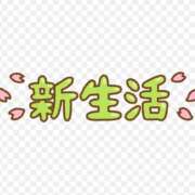 ヒメ日記 2026/04/09 11:14 投稿 墨田遥香 五十路マダムエクスプレス横浜店（カサブランカグループ）