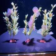 ヒメ日記 2026/04/25 10:06 投稿 墨田遥香 五十路マダムエクスプレス横浜店（カサブランカグループ）