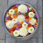 ヒメ日記 2024/12/09 15:16 投稿 中山冴子 五十路マダムエクスプレス横浜店（カサブランカグループ）