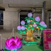 ヒメ日記 2025/02/14 18:26 投稿 中山冴子 五十路マダムエクスプレス横浜店（カサブランカグループ）