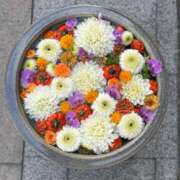 ヒメ日記 2025/03/04 16:46 投稿 中山冴子 五十路マダムエクスプレス横浜店（カサブランカグループ）