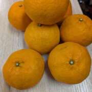 ヒメ日記 2026/01/22 18:50 投稿 中山冴子 五十路マダムエクスプレス横浜店（カサブランカグループ）